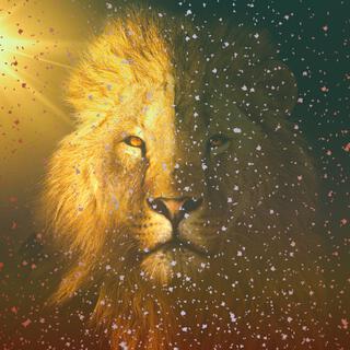 The Lion cover art