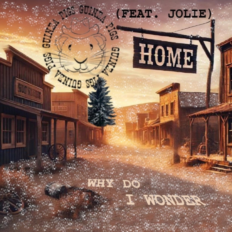 Why Do I Wonder (feat. Jolie Gallotta) cover art