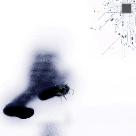 pardon de m'aimer cover art