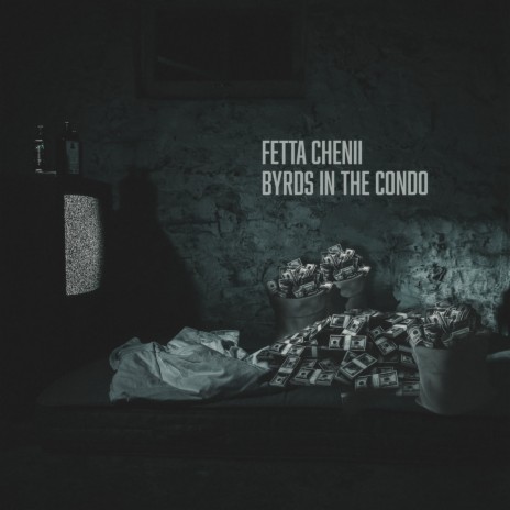 Byrds in the Condo cover art