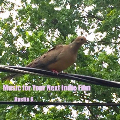 Mourning Dove / Morning Dove cover art