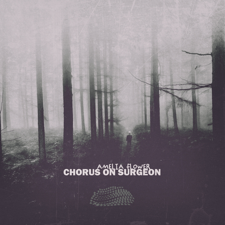 Dispute in the Apparently cover art