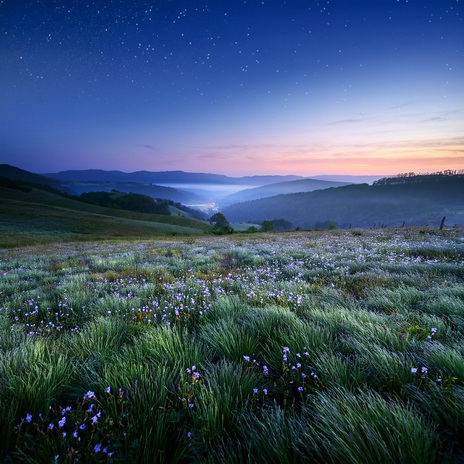 Night’S Silent Embrace ft. Flamespad Nature Fire Sounds & Owl Sounds Recordings cover art