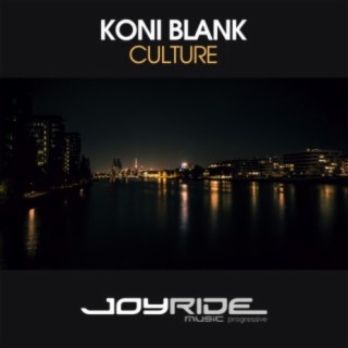 Culture (Radio Mix) cover art