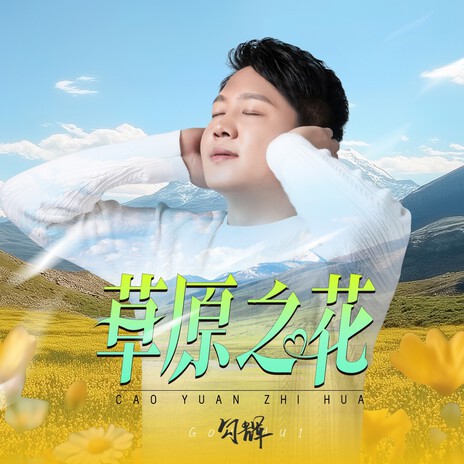 草原之花 cover art