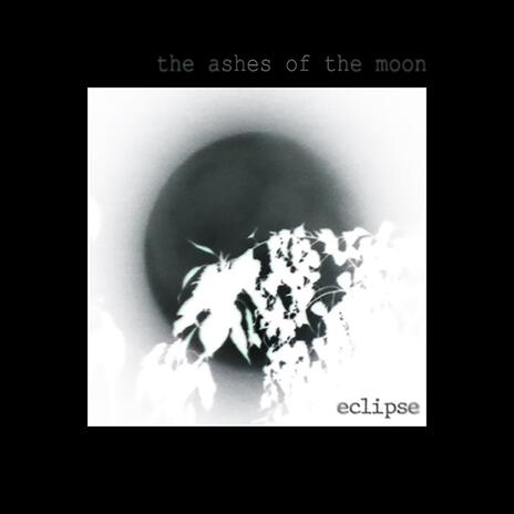 A Body of Water cover art