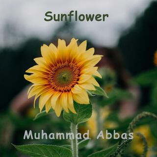 Sunflower cover art