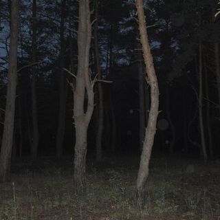 Сны кошмары