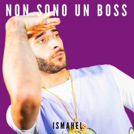 Non sono un boss cover art