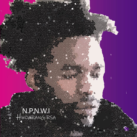 N.p.n.w.i cover art