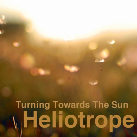 Hereafter cover art