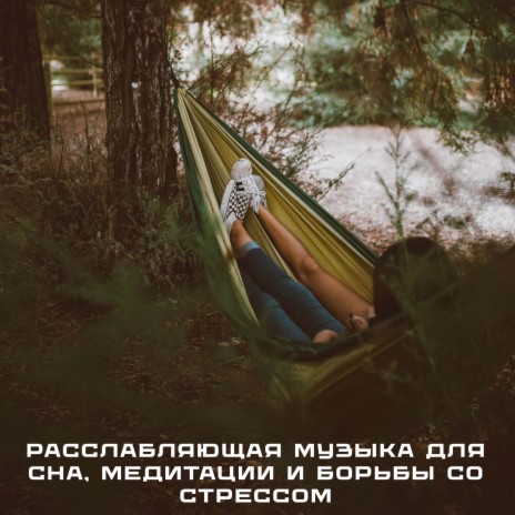 Return cover art
