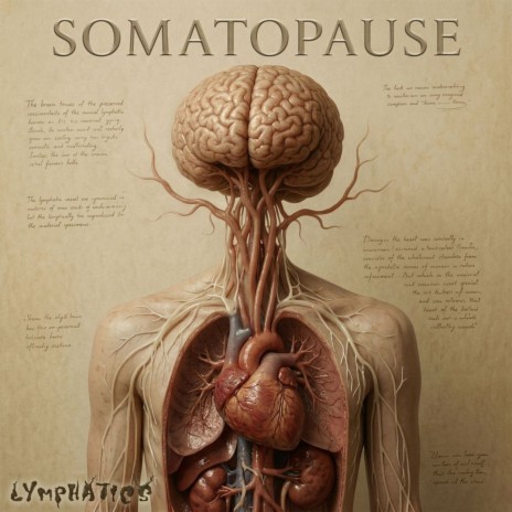 Posture of Melatonin cover art
