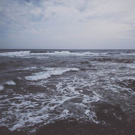 Shores (Reprise) cover art