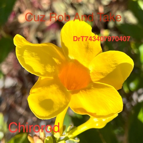 Cuz Rob And Take (DrT743407970407) cover art