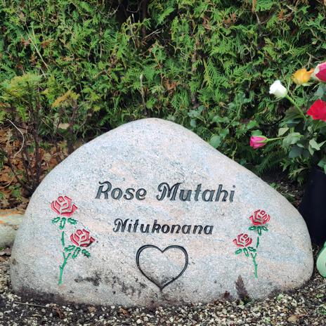 Rose cover art
