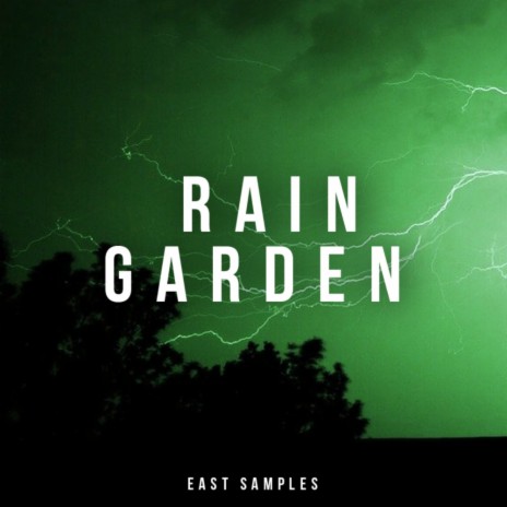 Night Garden (Original Mix) cover art