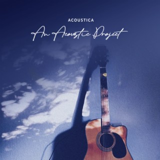 An Acoustic Project