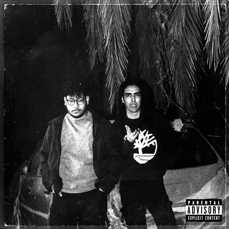 Janaklees ft. faust8i cover art
