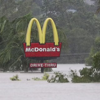 Rain cover art