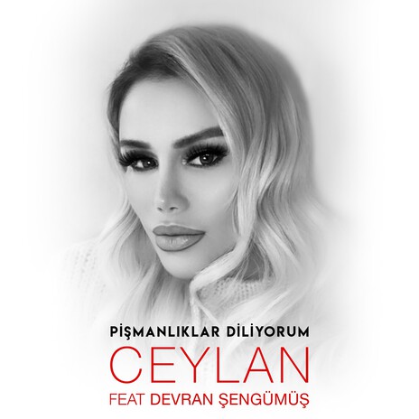 Pişmanlıklar Diliyorum ft. Devran Şengümüş cover art
