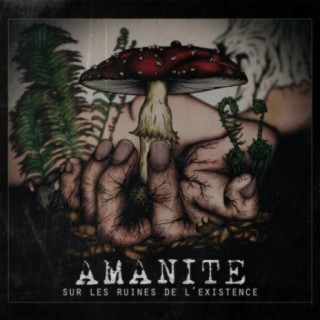 Amanite