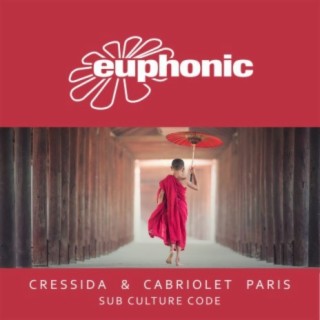 Sub Culture Code (Radio Edit) ft. Cabriolet Paris cover art