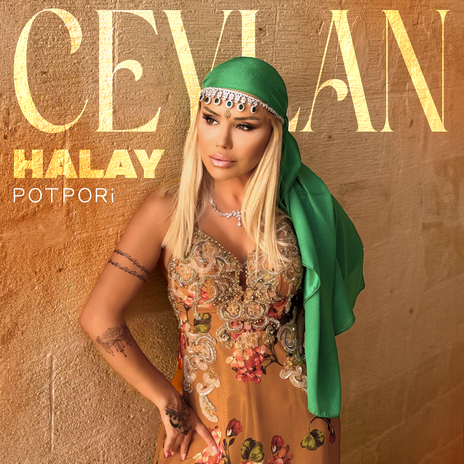 Halay Potpori / Yeri Ha Yeri / Gülende Yar Gülende / Anam Babam Sivaslı / Vay Babo / Elazığ Uzun Çarşı / Bana Derler Zaza / Pencereden Bak Bana / Duysun Bütün Memleket cover art