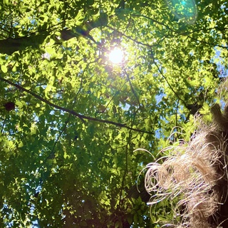 Things To Do With Nature