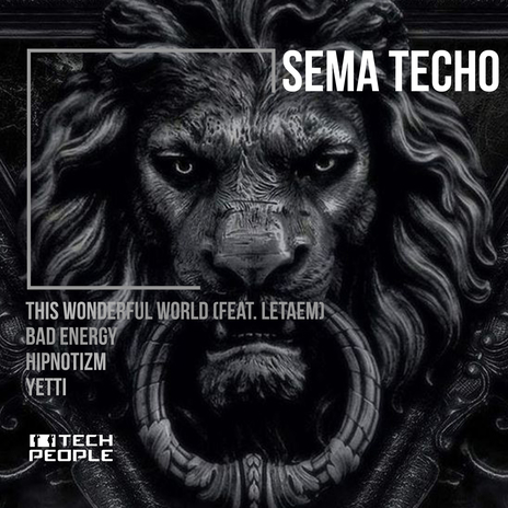 This Wonderful World ft. Letaem cover art