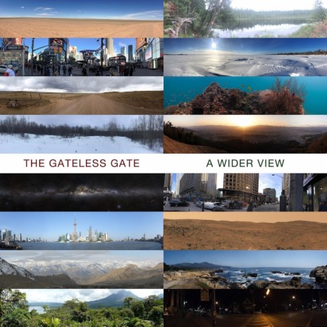 Wise View cover art