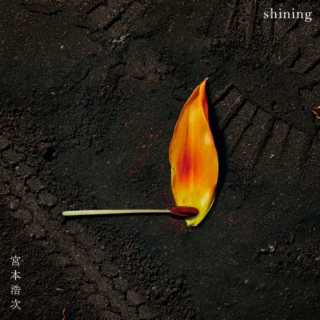 shining cover art