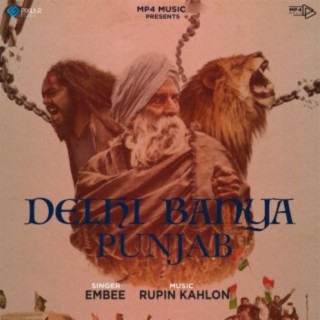 Delhi Banya Punjab cover art