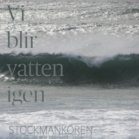 Några ristade tecken cover art