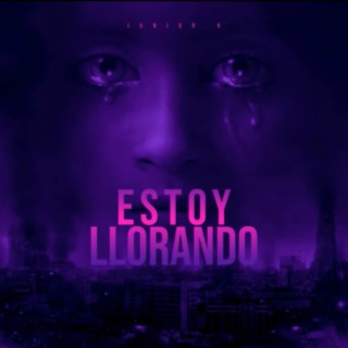 Estoy Llorando cover art