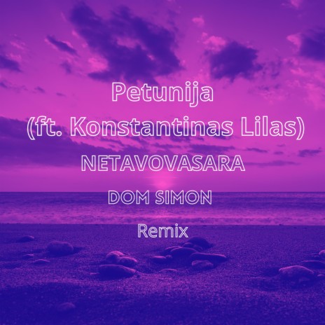NETAVOVASARA (Remix) ft. Petunija & Konstantinas Lilas cover art