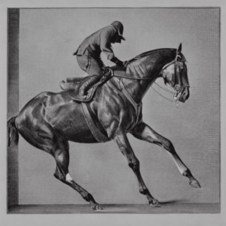 Three Legs cover art