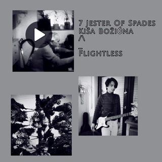 Flightless cover art