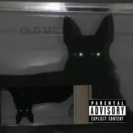THATSTEP cover art