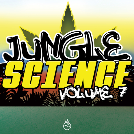 Vision Of The Future (Jungle Tekno Mix) cover art