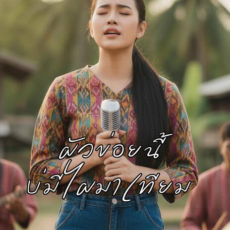 บ่มีไผมาเทียม cover art