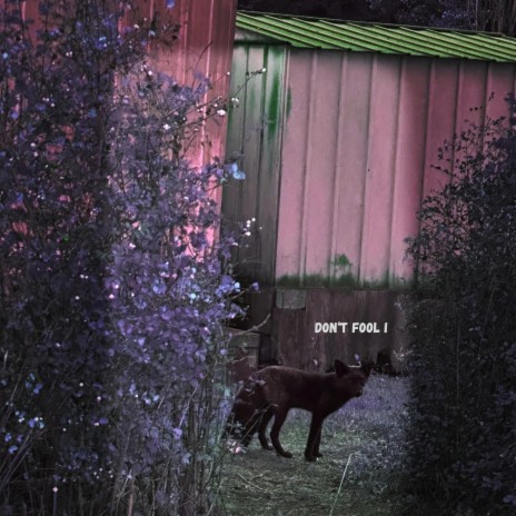 D0N'T F00L I cover art