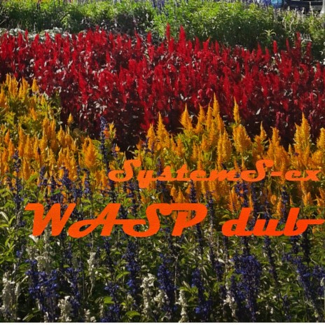WASP dub cover art