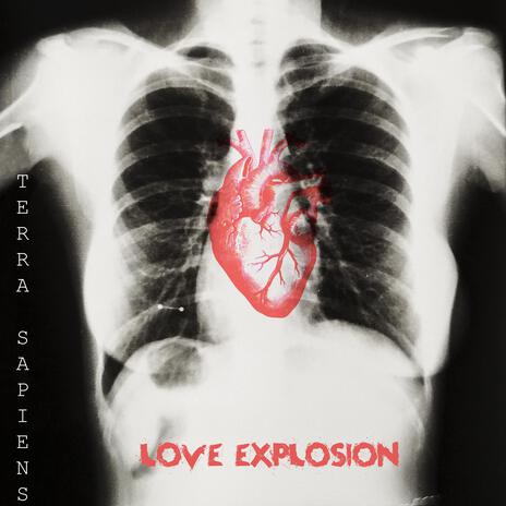 Love Explosion (Instrumental) cover art