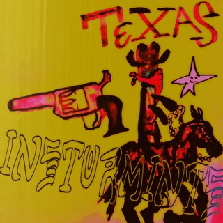 TEXAS INSTURMINTS