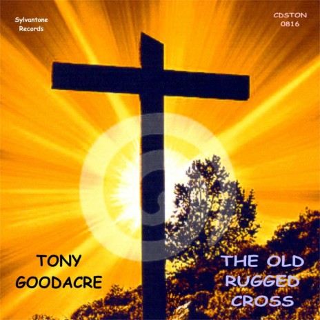 Man in the Sky cover art