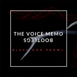 The Voice Memo Bootlegs