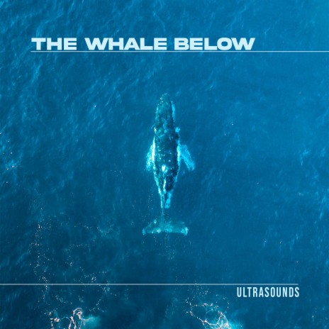 The Whale Below