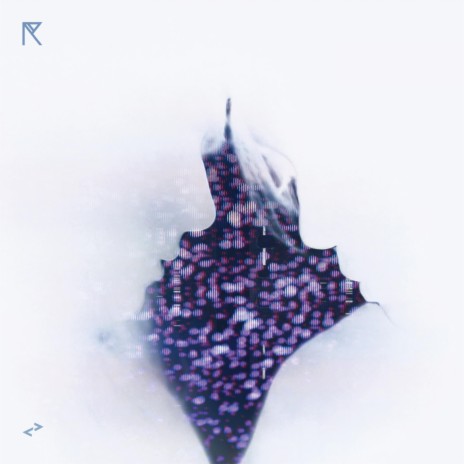 Warmth cover art