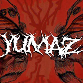 D.Y.A.O